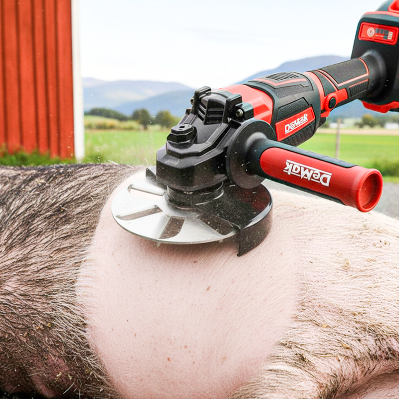 🧰BUY 2 GET 3 FREE🔧Labor-Saving Pig Hair Remover Scraper Disc