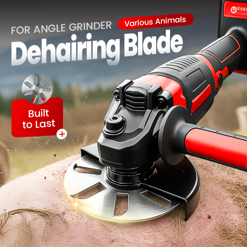🧰BUY 2 GET 3 FREE🔧Labor-Saving Pig Hair Remover Scraper Disc