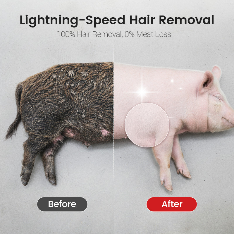 🧰BUY 2 GET 3 FREE🔧Labor-Saving Pig Hair Remover Scraper Disc