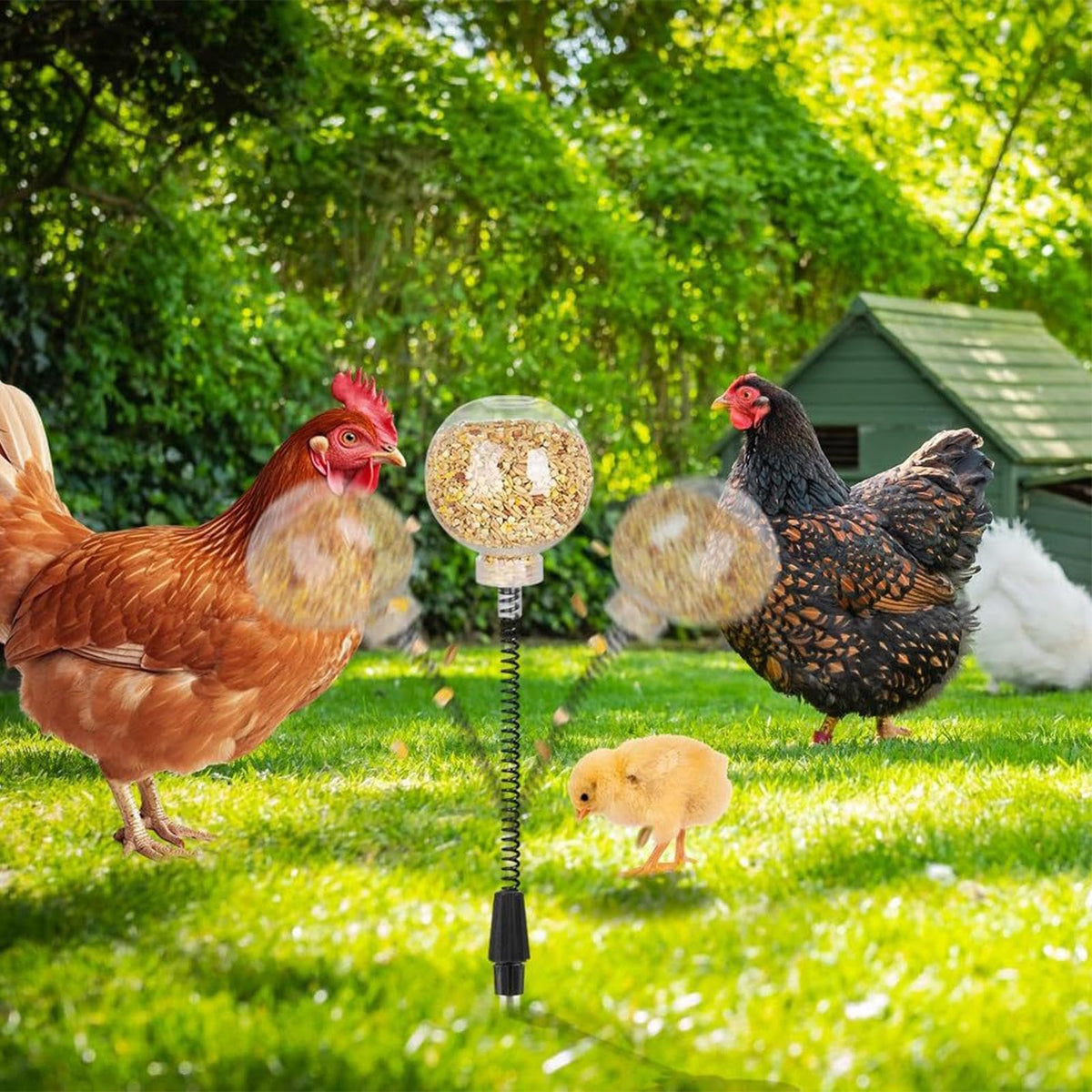 🔥HOT SALE 50% OFF🔥-Chicken Peck Toy, Chicken Swing Feeder, Chick Slow Feeder Toy (2 Pack)