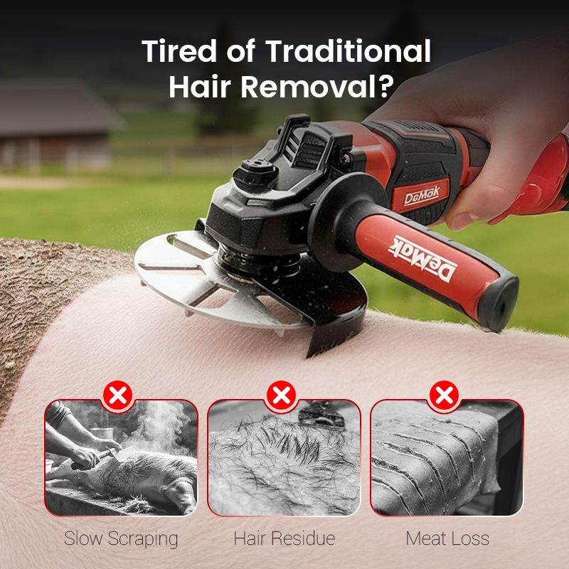 🧰BUY 2 GET 3 FREE🔧Labor-Saving Pig Hair Remover Scraper Disc