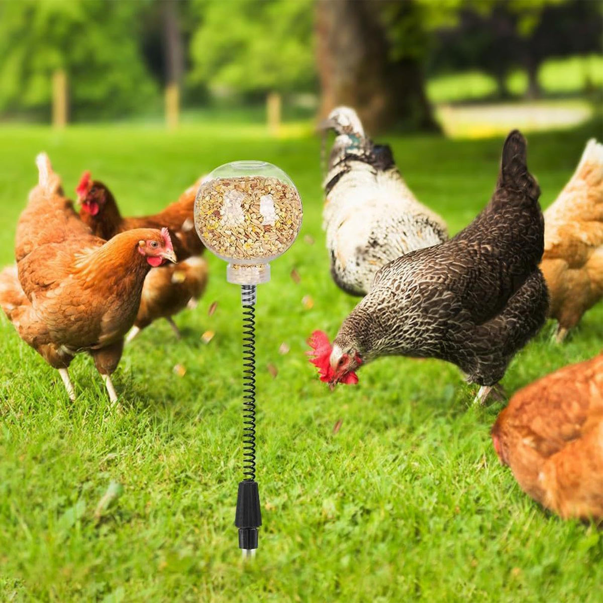🔥HOT SALE 50% OFF🔥-Chicken Peck Toy, Chicken Swing Feeder, Chick Slow Feeder Toy (2 Pack)