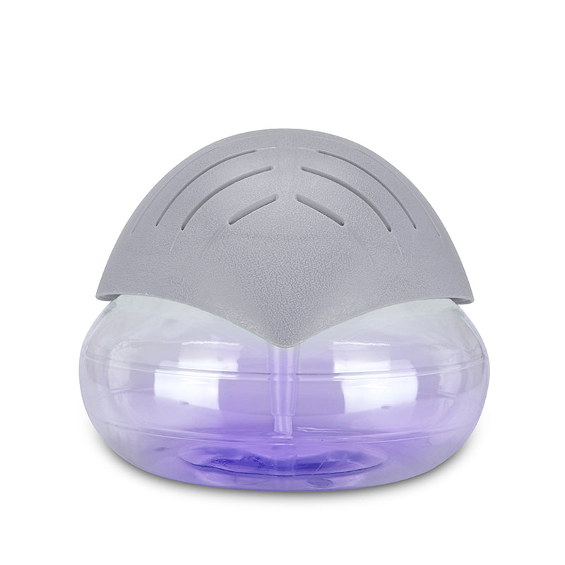 🌫️✨ Fog-Free Air Humidifier & Purifier 🌿 Portable Design 🚚