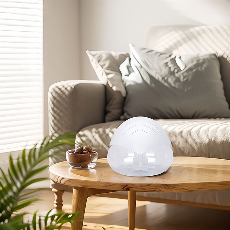 🌫️✨ Fog-Free Air Humidifier & Purifier 🌿 Portable Design 🚚