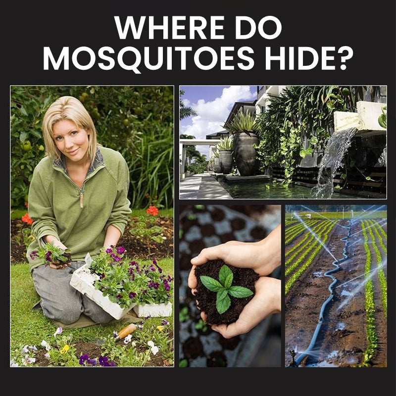 🏆 Last Day Special Price ! 🔥Solar Mosquito Zapper Lamp Stake