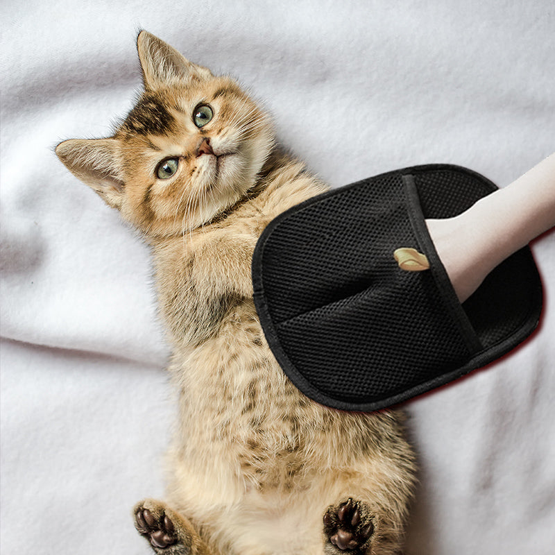 Static Removal Gloves for Pet Hair