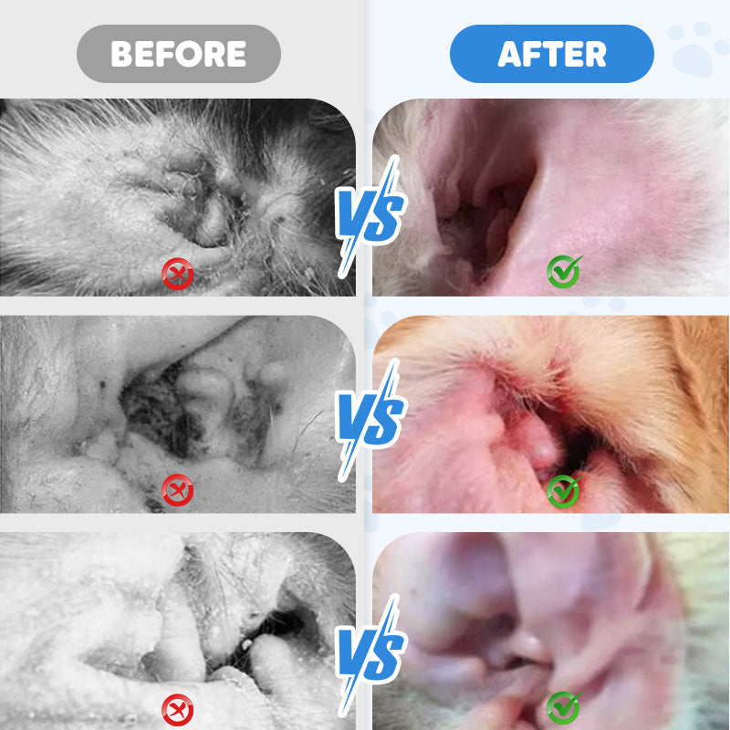 🎁 BUY 2 GET 1 FREE! ✨ Pet Ear Cleaner – Gentle Aloe Formula for Dogs & Cats, Prevents Infections & Odor 🌿👂
