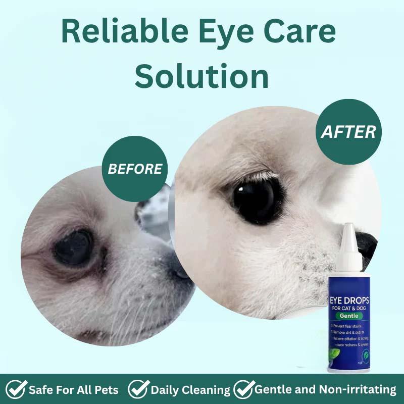 Pet Eye Drops for Dogs & Cats
