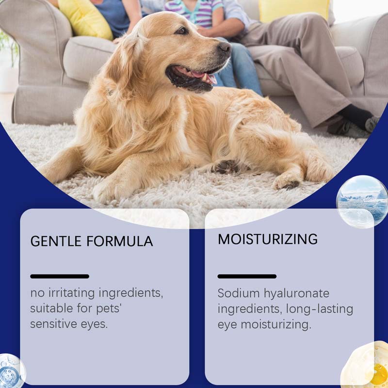 Pet Eye Drops for Dogs & Cats