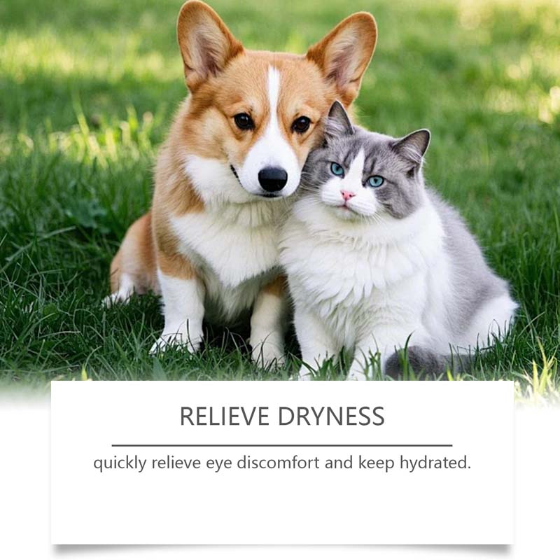 Pet Eye Drops for Dogs & Cats