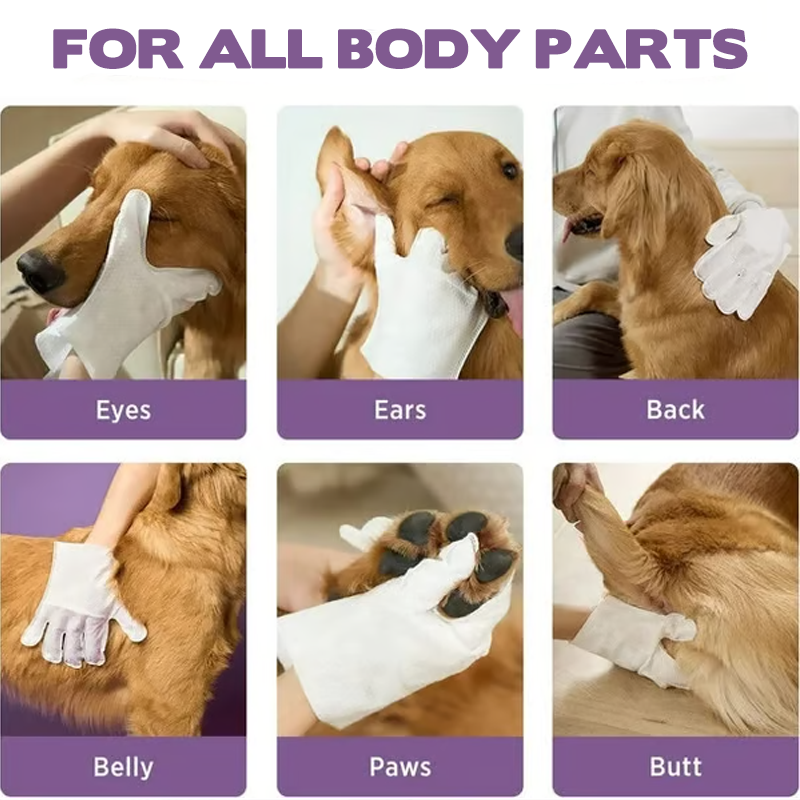 🐾 BUY MORE GET MORE! 🧤 RINSE-FREE PET GLOVES - Deep Cleans & Deodorizes in One Step, Soft Silicone Tips for Massage, Safe for Cats and Dogs 🐶🐱✨