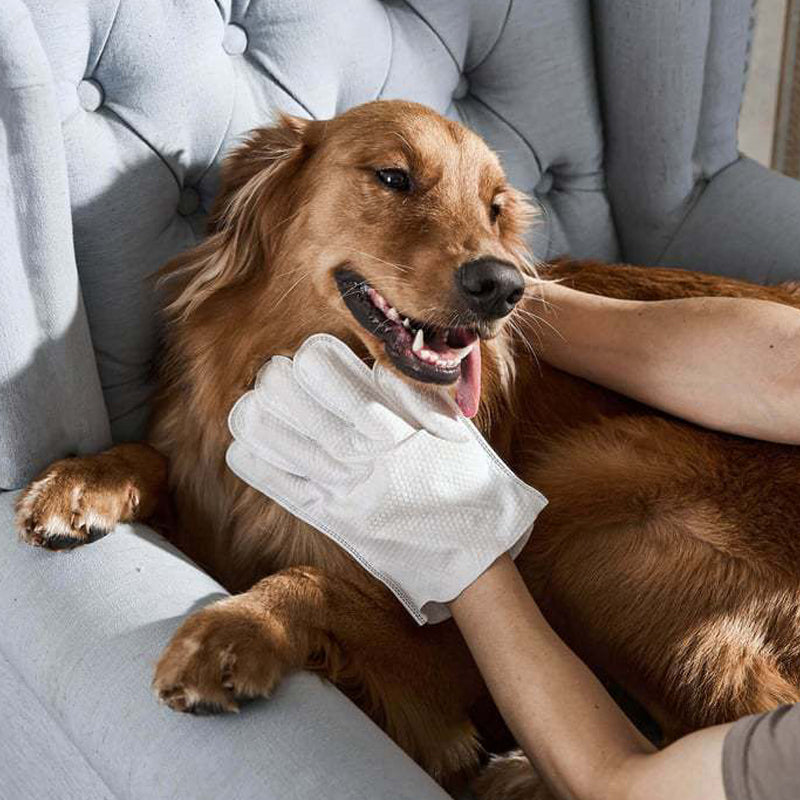 Odor-Removing Pet Grooming Gloves
