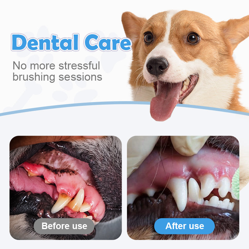 Pet Tartar Remover for Dogs & Cats