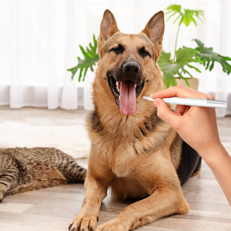 Pet Tartar Remover for Dogs & Cats