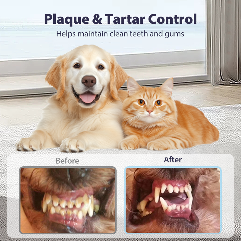 Teeth Cleaning Spray for Pets
