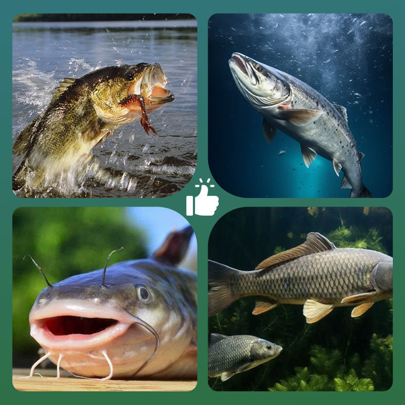🎣 Buy 1 Get 1 Free! 🐟 High Buoyancy Fishing Hook – Floats Naturally, Sharp Carbon Steel, Set of 5 ✨
