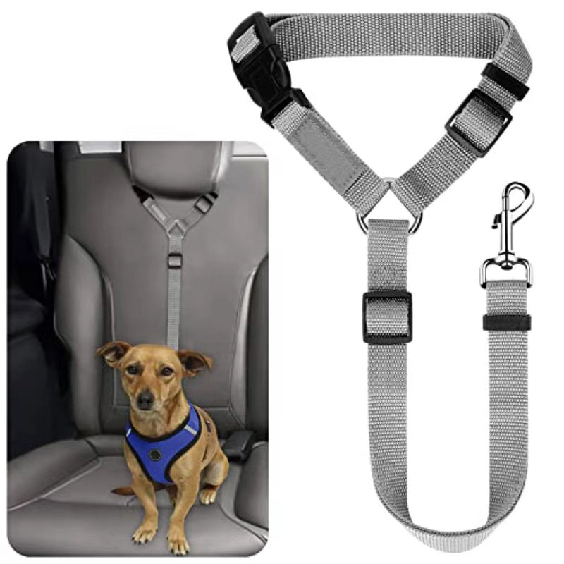 🔥Buy more save more🎁2-in-1 Dog Car Seat Belt & Walking Leash